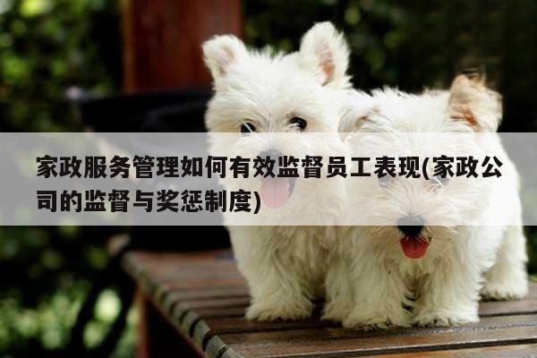 家政服务管理如何有效监督员工表现(家政公司的监督与奖惩制度)