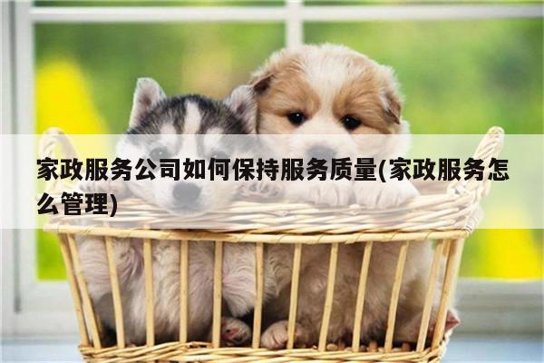 家政服务公司如何保持服务质量(家政服务怎么管理)
