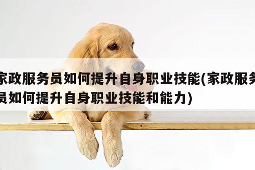 家政服务员如何提升自身职业技能(家政服务员如何提升自身职业技能和能力)