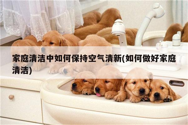 家庭清洁中如何保持空气清新(如何做好家庭清洁)