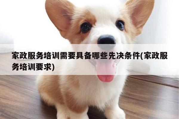 家政服务培训需要具备哪些先决条件(家政服务培训要求)