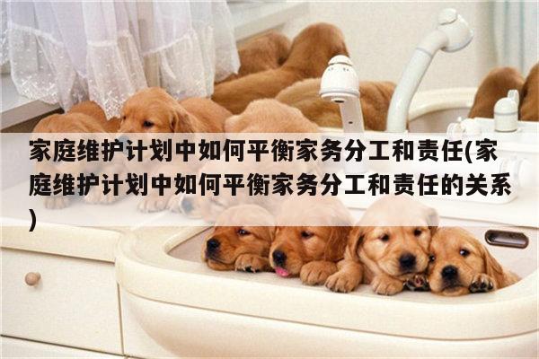 家庭维护计划中如何平衡家务分工和责任(家庭维护计划中如何平衡家务分工和责任的关系)