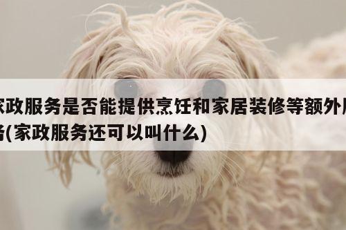 家政服务是否能提供烹饪和家居装修等额外服务(家政服务还可以叫什么)