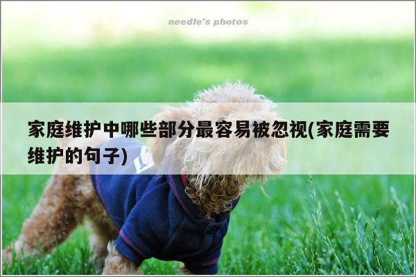 家庭维护中哪些部分最容易被忽视(家庭需要维护的句子)