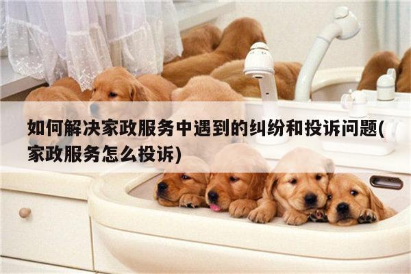 如何解决家政服务中遇到的纠纷和投诉问题(家政服务怎么投诉)