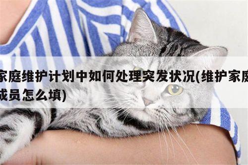 家庭维护计划中如何处理突发状况(维护家庭成员怎么填)