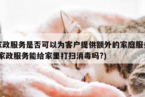 家政服务是否可以为客户提供额外的家庭服务(家政服务能给家里打扫消毒吗?)