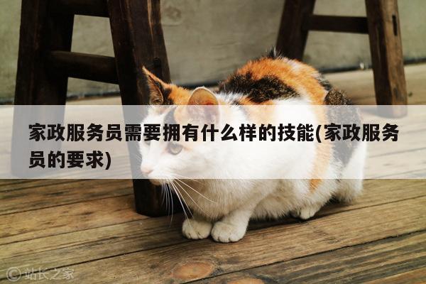 家政服务员需要拥有什么样的技能(家政服务员的要求)