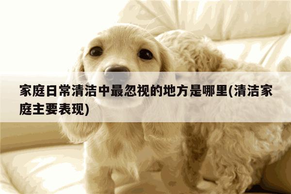 家庭日常清洁中最忽视的地方是哪里(清洁家庭主要表现)