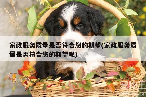 家政服务质量是否符合您的期望(家政服务质量是否符合您的期望呢)