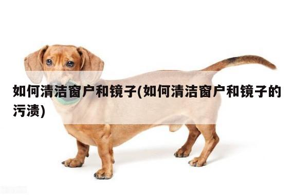 如何清洁窗户和镜子(如何清洁窗户和镜子的污渍)