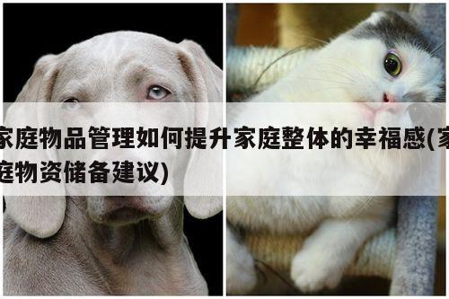 家庭物品管理如何提升家庭整体的幸福感(家庭物资储备建议)
