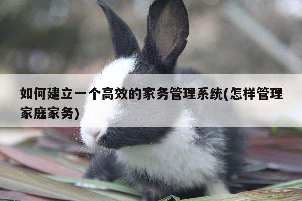 如何建立一个高效的家务管理系统(怎样管理家庭家务)