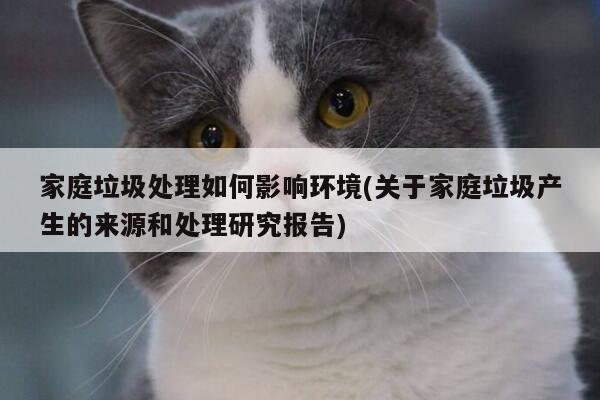 家庭垃圾处理如何影响环境(关于家庭垃圾产生的来源和处理研究报告)