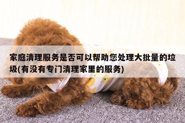 家庭清理服务是否可以帮助您处理大批量的垃圾(有没有专门清理家里的服务)