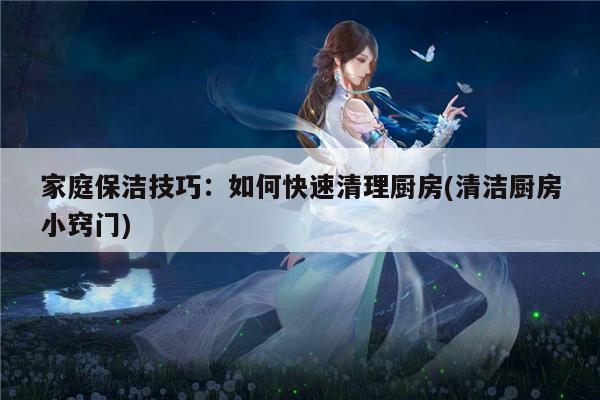 家庭保洁技巧:如何快速清理厨房(清洁厨房小窍门)