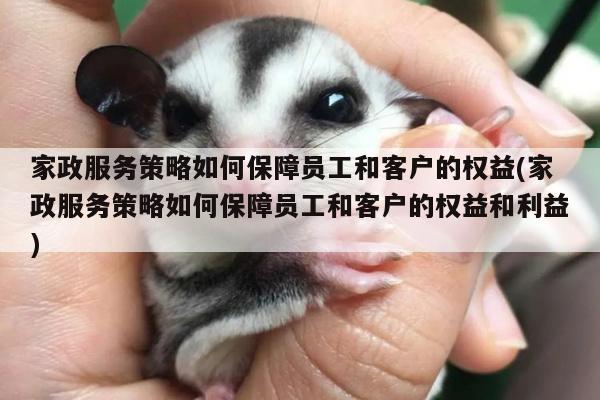 家政服务策略如何保障员工和客户的权益(家政服务策略如何保障员工和客户的权益和利益)