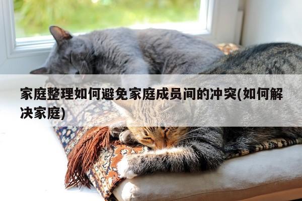家庭整理如何避免家庭成员间的冲突(如何解决家庭)
