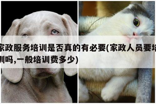家政服务培训是否真的有必要(家政人员要培训吗,一般培训费多少)