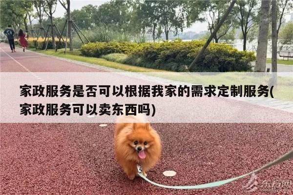 家政服务是否可以根据我家的需求定制服务(家政服务可以卖东西吗)