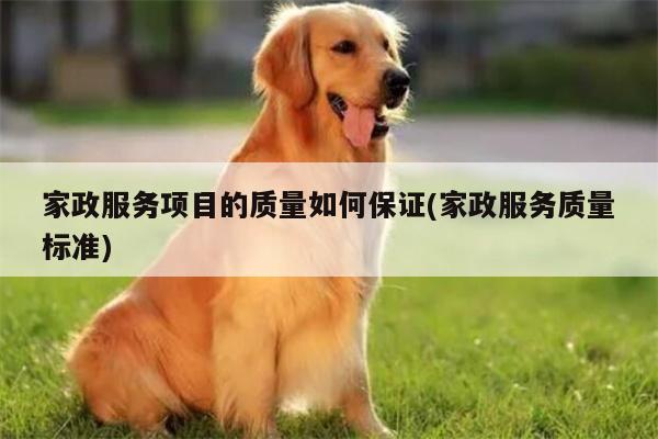 家政服务项目的质量如何保证(家政服务质量标准)