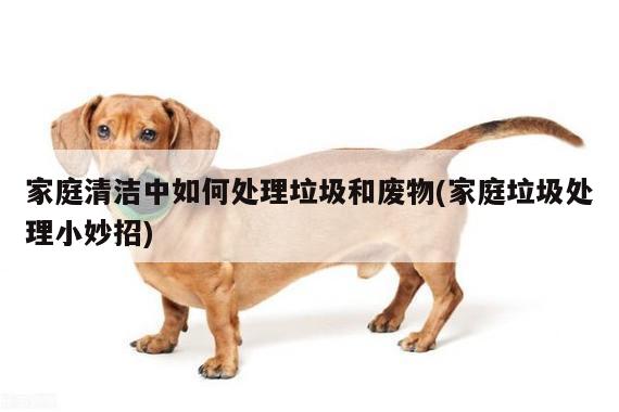 家庭清洁中如何处理垃圾和废物(家庭垃圾处理小妙招)