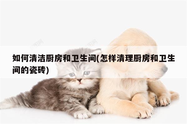 如何清洁厨房和卫生间(怎样清理厨房和卫生间的瓷砖)