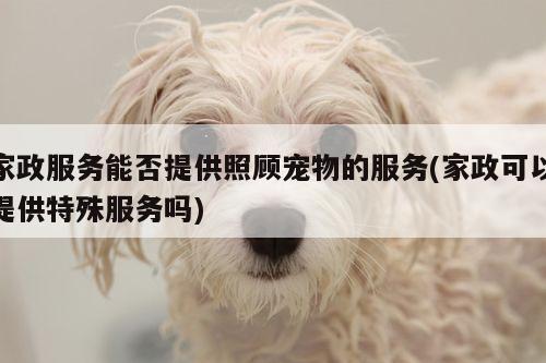 家政服务能否提供照顾宠物的服务(家政可以提供特殊服务吗)