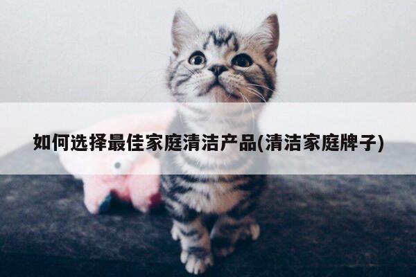 如何选择最佳家庭清洁产品(清洁家庭牌子)