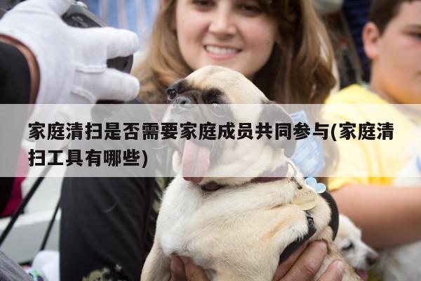 家庭清扫是否需要家庭成员共同参与(家庭清扫工具有哪些)