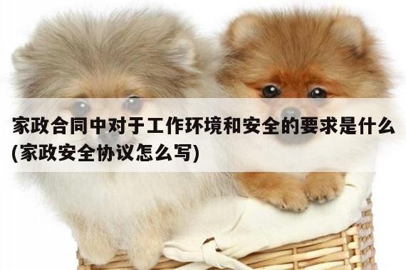 家政合同中对于工作环境和安全的要求是什么(家政安全协议怎么写)