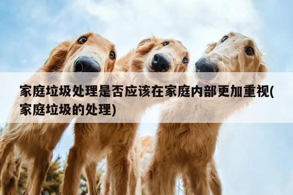 家庭垃圾处理是否应该在家庭内部更加重视(家庭垃圾的处理)