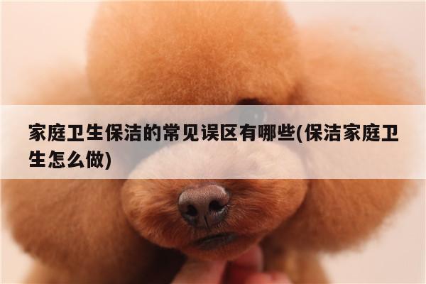 家庭卫生保洁的常见误区有哪些(保洁家庭卫生怎么做)