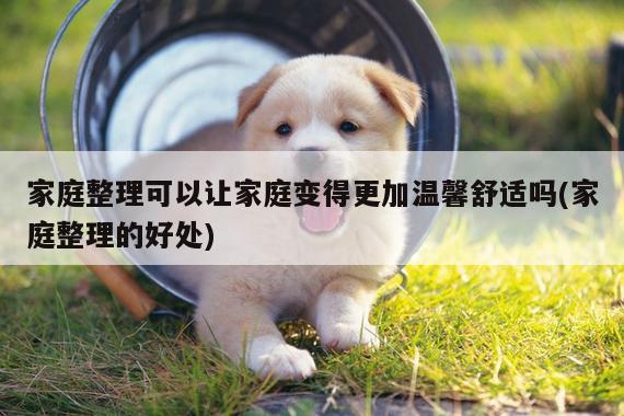 家庭整理可以让家庭变得更加温馨舒适吗(家庭整理的好处)