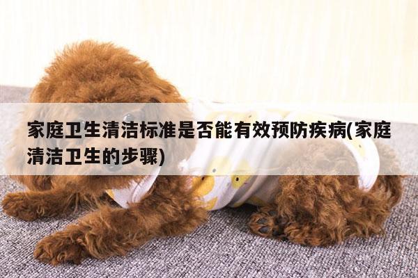 家庭卫生清洁标准是否能有效预防疾病(家庭清洁卫生的步骤)