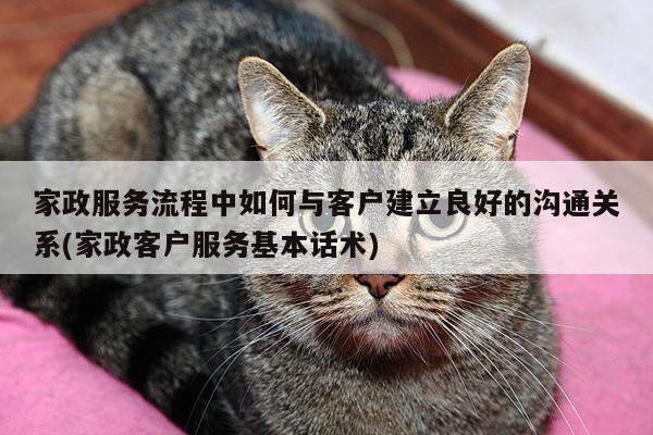 家政服务流程中如何与客户建立良好的沟通关系(家政客户服务基本话术)