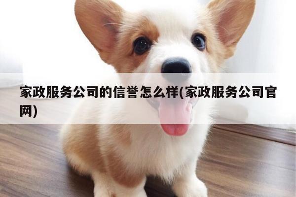 家政服务公司的信誉怎么样(家政服务公司官网)