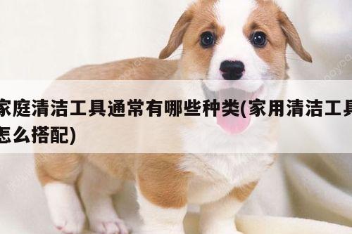 家庭清洁工具通常有哪些种类(家用清洁工具怎么搭配)