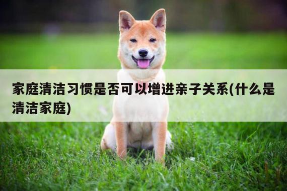 家庭清洁习惯是否可以增进亲子关系(什么是清洁家庭)