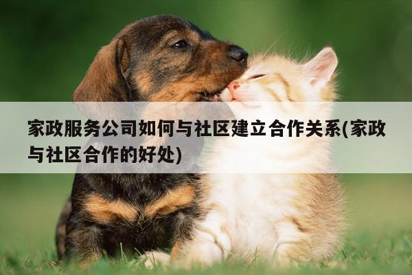家政服务公司如何与社区建立合作关系(家政与社区合作的好处)