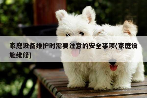 家庭设备维护时需要注意的安全事项(家庭设施维修)