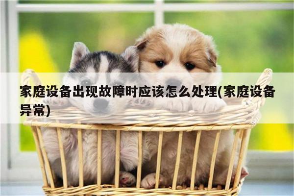 家庭设备出现故障时应该怎么处理(家庭设备异常)