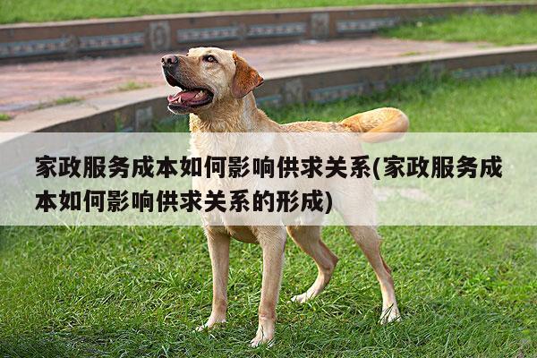 家政服务成本如何影响供求关系(家政服务成本如何影响供求关系的形成)