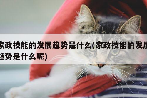 家政技能的发展趋势是什么(家政技能的发展趋势是什么呢)