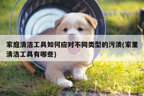家庭清洁工具如何应对不同类型的污渍(家里清洁工具有哪些)
