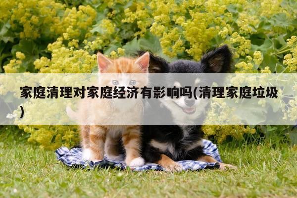 家庭清理对家庭经济有影响吗(清理家庭垃圾)