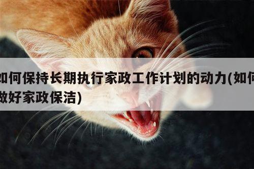 如何保持长期执行家政工作计划的动力(如何做好家政保洁)