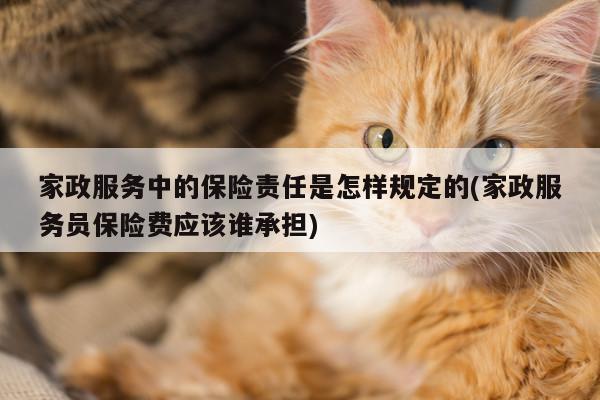 家政服务中的保险责任是怎样规定的(家政服务员保险费应该谁承担)