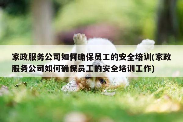 家政服务公司如何确保员工的安全培训(家政服务公司如何确保员工的安全培训工作)