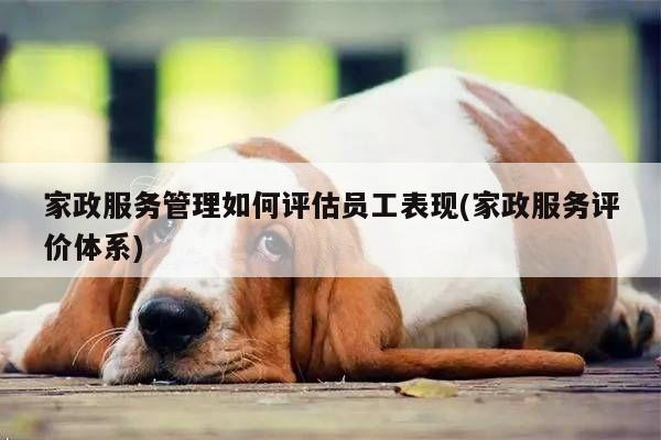 家政服务管理如何评估员工表现(家政服务评价体系)